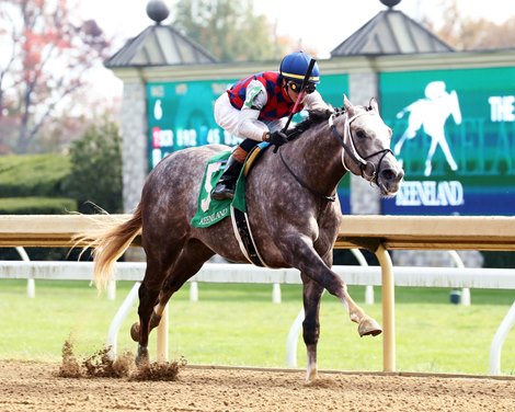 Voila Magic, Maiden Win, Keeneland, October 25 2024