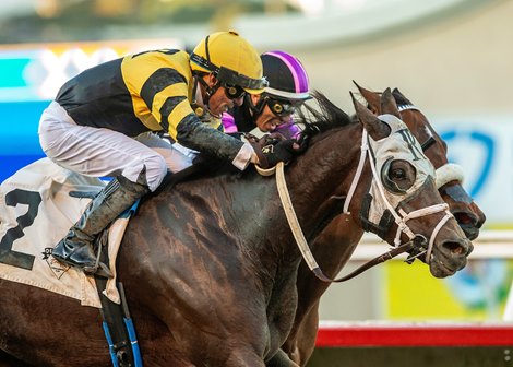 Jaime Renella’s Chismosa and jockey Tiago Pereira, outside, outnod Big Summer (Hector I. Berrios) to win the $100,000 Betty Grable Stakes Sunday, November 10, 2024 at Del Mar Thoroughbred Club, Del Mar, CA.<br><br />
Benoit Photo