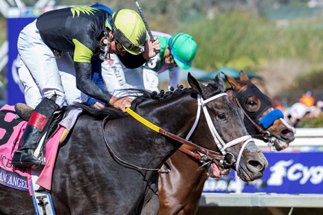 Soul Of An Angel with Drayden Van Dyke wins the Filly & Mare Sprint (G1) at Del Mar Racetrack in Del Mar, CA on November 2, 2024.