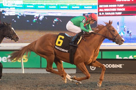 Elysian Field wins the 2024 Maple Leaf Stakes at Woodbine