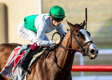Augustin Stables' Will Then and jockey Vincent Cheminaud win the Grade III $100,000 Jimmy Durante Stakes Saturday November 30, 2024 at Del Mar Thoroughbred Club, Del Mar, CA.<br>
Benoit Photo
