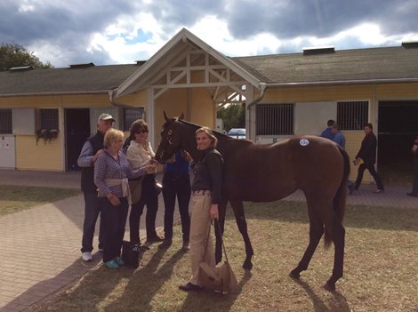 Shirocca (IRE) as a yearling at the Baden-Baden Sale, where she was purchased for $67,856. (L-R) Dieter Wildermuth, Margitta Wildermuth, Lauren Roche, Corinna Wildermuth.