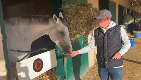 Trainer Doug Cowans gives Next a peppermint the morning after finishing 14th in the 2024 Breeders&#39; Cup Classic at Del Mar