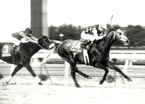 Golden Pheasant wins the 1991 Japan Cup at Tokyo Racecourse