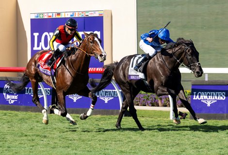 Rebel’s Romance with William Buick wins the Turf (G1T) at Del Mar Racetrack in Del Mar, CA on November 2, 2024.