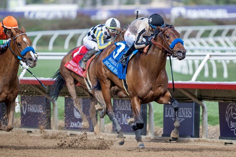 Hope Road with Juan J. Hernandez wins the Bayakoa Stakes (G3) at Del Mar Racetrack in Del Mar, CA on November 2, 2024.