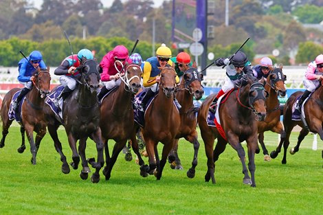 Mr Brightside wins the 2024 VRC Champions Mile at Flemington Racecourse <br>
ridden by Craig Williams and trained by Ben, Will & JD Hayes