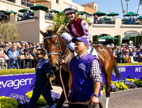 Thorpedo Anna with Brian Hernandez before the Distaff (G1) at Del Mar Racetrack in Del Mar, CA on November 2, 2024.