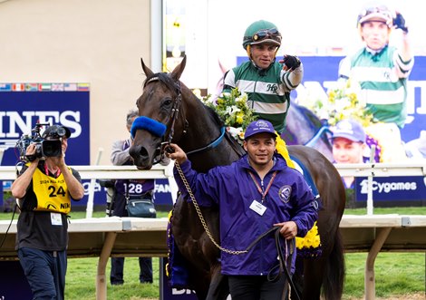 Full Serrano with Joel Rosario wins the Dirt Mile (G1) at Del Mar Racetrack in Del Mar, CA on November 2, 2024.