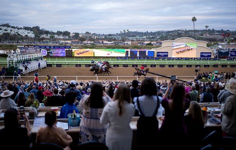 Off and running in The Dirt Mile, the final Breeders' Cup race of 2024<br>
Del Mar 2.11.24 Pic: Edward Whitaker