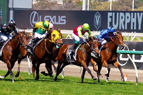 Knight's Choice wins the 2024 Melbourne Cup at Flemington Racecourse<br>
ridden by Robbie Dolan and trained by Sheila Laxon & John Symons