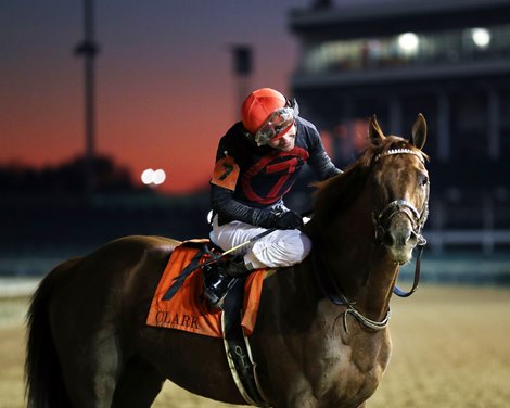 Rattle N Roll wins the 2024 Clark Stakes at Churchill Downs