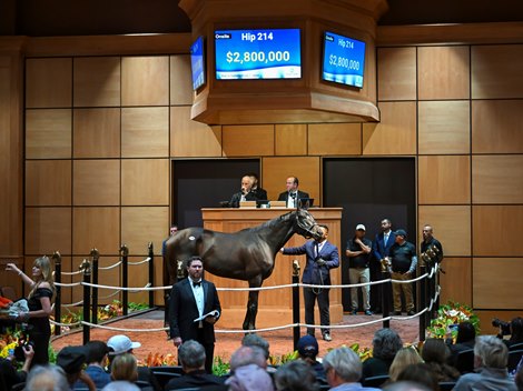 Hip 214 Adare Manor consigned by Hill ‘n’ Dale by Xalapa to The November Sale at Fasig-Tipton in Lexington, Ky. on November 4, 2024.