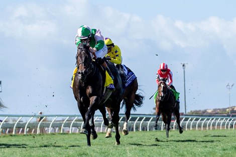 Starlust and Rossa Ryan wins the Turf Sprint (G1T) at Del Mar Racetrack in Del Mar, CA on November 2, 2024.