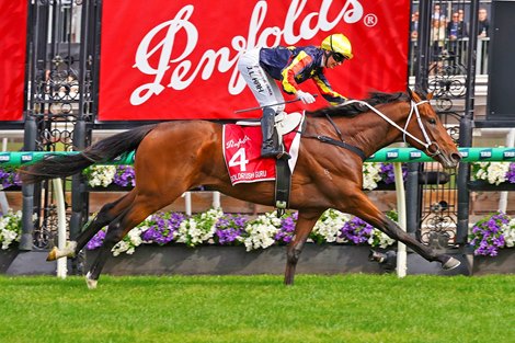 Goldrush Guru wins the 2024 Victoria Derby at Flemington Racecourse<br>
ridden by Jamie Kah and trained by Andrew Gluyas