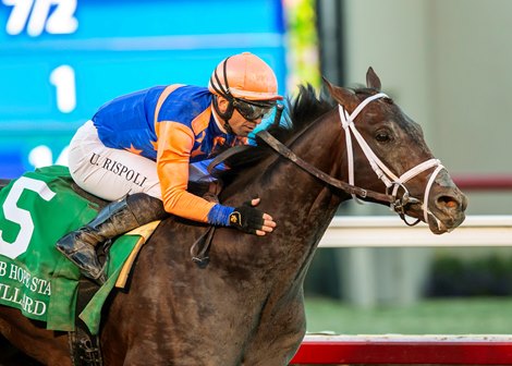 Bullard and jockey Umberto Rispoli win the Grade III $100,000 Bob Hope Stakes Sunday, November 17, 2024 at Del Mar Thoroughbred Club, Del Mar, CA<br>
Benoit Photo Bullard and jockey Umberto Rispoli win the Grade III $100,000 Bob Hope Stakes Sunday, November 17, 2024 at Del Mar Thoroughbred Club, Del Mar, CA<br>
Benoit Photo