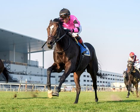 Deterministic wins the 2024 Hill Prince Stakes at Aqueduct Racetrack