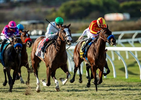 Augustin Stables&#39; Will Then and jockey Vincent Cheminaud, left, battle Casalu (Kazushi Kimura), right, in midstretch and go on to win the Grade III $100,000 Jimmy Durante Stakes Saturday November 30, 2024 at Del Mar Thoroughbred Club, Del Mar, CA.<br><br />
Benoit Photo