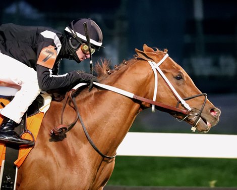 Lagynos wins the 2024 Commonwealth Turf Stakes at Churchill Downs