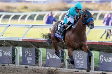 Citizen Bull with Martin Garcia wins the Juvenile (G1) at Del Mar Racetrack in Del Mar, CA on November 1, 2024.