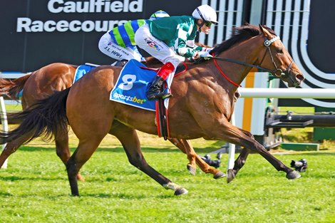 Kimochi wins the 2024 Sir Rupert Clarke Stakes at Caulfield Racecourse<br>
ridden by Craig Williams and Trained by Gary Portelli Kimochi wins the 2024 Sir Rupert Clarke Stakes at Caulfield Racecourse<br>
ridden by Craig Williams and Trained by Gary Portelli