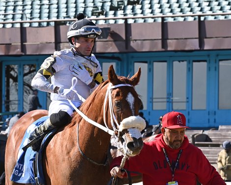 Studlydoright wins the 2024 Nashua Stakes at Aqueduct Racetrack