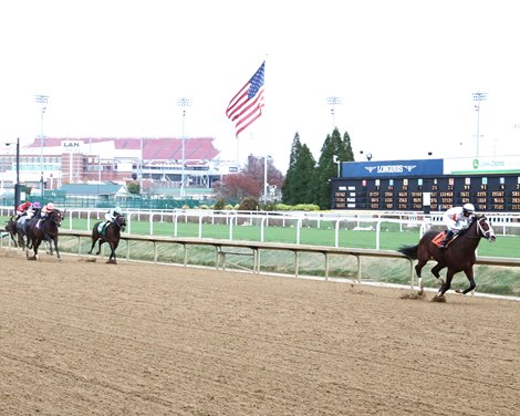 Patch Adams, Maiden Win, Churchill Downs, November 30 2024