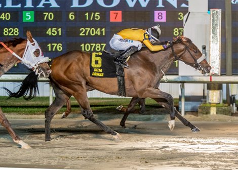 Free Like a Girl with Elio J. Barrera aboard wins the 2024 Treasure Chest Stakes at Delta Downs Chasey Deville Pomier is the trainer