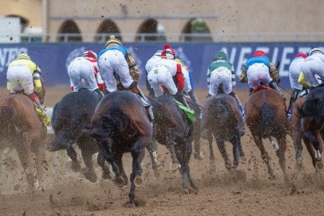 Full Serrano with Joel Rosario wins the Dirt Mile (G1) at Del Mar Racetrack in Del Mar, CA on November 2, 2024.