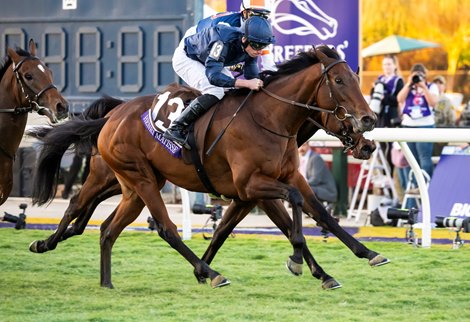 Henri Matisse with Ryan Moore wins the Juvenile Turf (G1T) at Del Mar Racetrack in Del Mar, CA on November 1, 2024.
