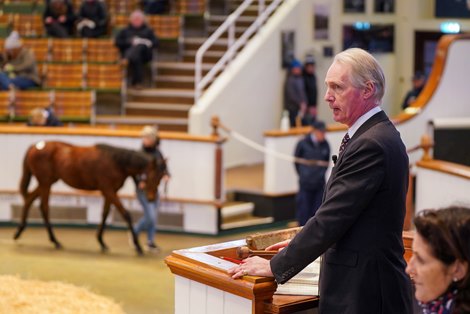 Edmond Mahony<br>
Tattersalls December Foal Sale 27/11/2024