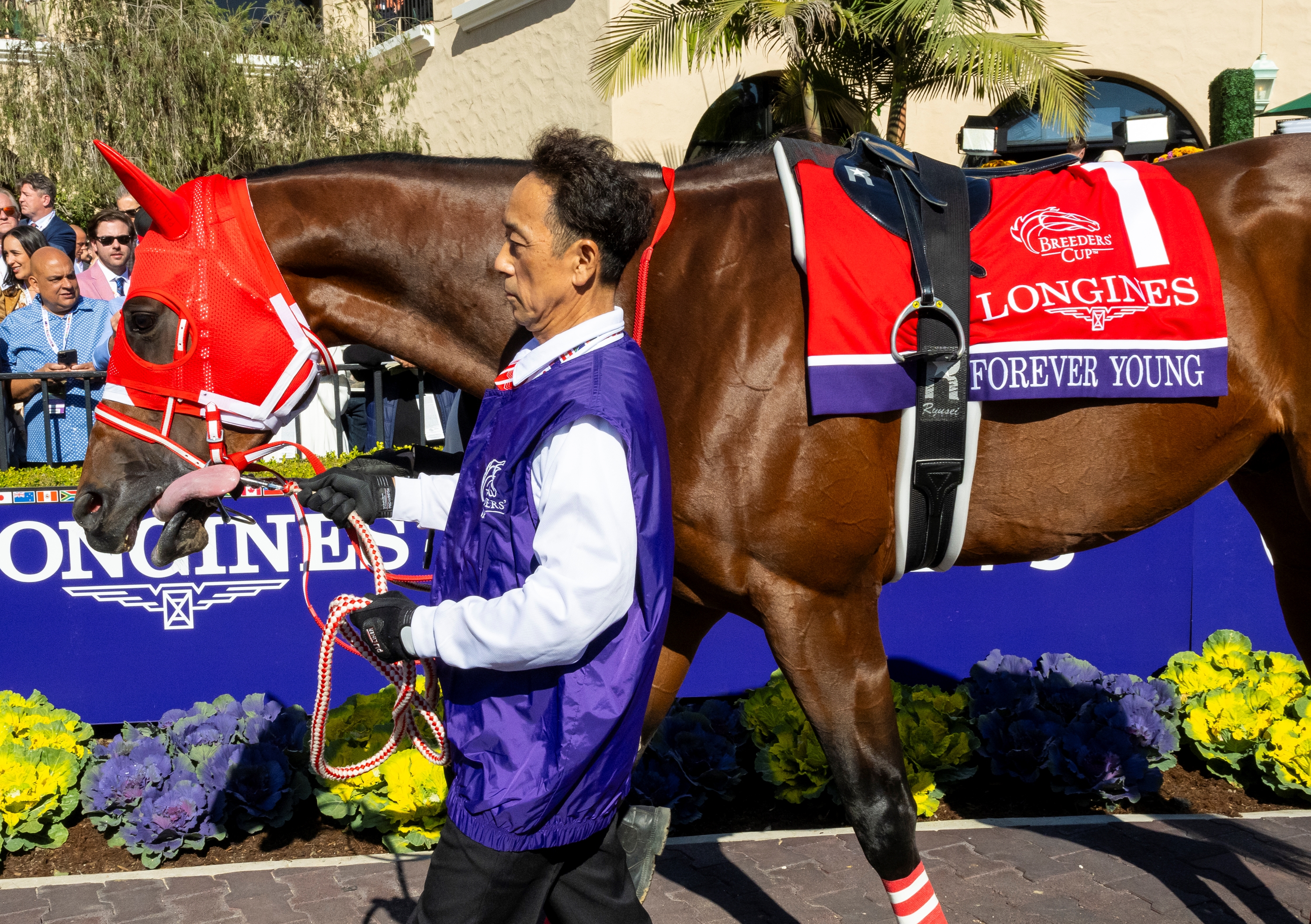 Japan's Top 2-Year-Olds Face Off in Hopeful Stakes - BloodHorse