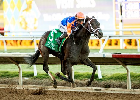 Bullard and jockey Umberto Rispoli win the Grade III $100,000 Bob Hope Stakes Sunday, November 17, 2024 at Del Mar Thoroughbred Club, Del Mar, CA<br>
Benoit Photo