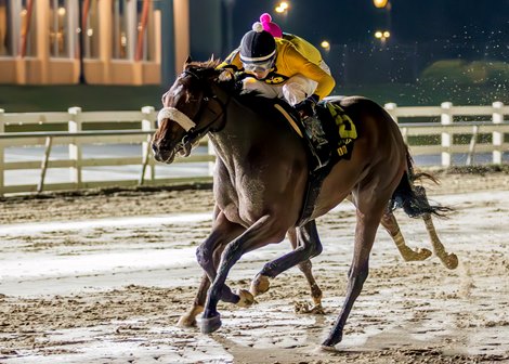 Free Like a Girl with Elio J. Barrera aboard wins the 2024 Treasure Chest Stakes at Delta Downs Chasey Deville Pomier is the trainer