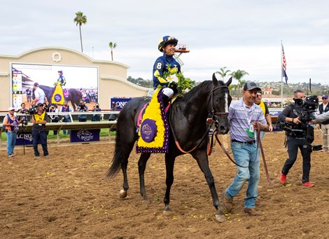 More Than Looks with Jose Ortiz wins the Mile (G1T) at Del Mar Racetrack in Del Mar, CA on November 2, 2024.