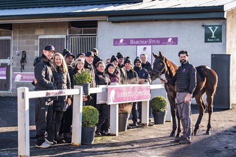 2024 Goffs November Sale, Lot 566