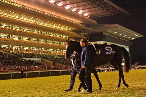 Auguste Rodin's Retirement Ceremony at the end of the day at Tokyo Racecourse <br>
Photo by Katsumi Saito <br>
November 24, 2024