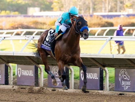 Citizen Bull with Martin Garcia wins the Juvenile (G1) at Del Mar Racetrack in Del Mar, CA on November 1, 2024. Citizen Bull with Martin Garcia wins the Juvenile (G1) at Del Mar Racetrack in Del Mar, CA on November 1, 2024.