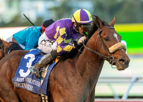 CRK Stable's Skinner and jockey Hector I. Berrios win the Grade III $100,000 Native Diver Stakes Saturday November 23, 2024 at Del Mar Thoroughbred Club, Del Mar, CA.<br>
Benoit Photo