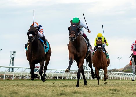 Augustin Stables’ Truly Quality and jockey Vincent Cheminaud, right, outgame Balnikhov (Kazushi Kimuri), left, to win the G2T $200,000 Hollywood Turf Cup Friday November 29, 2024 at Del Mar Thoroughbred Club, Del Mar, CA.<br><br />
Benoit Photo