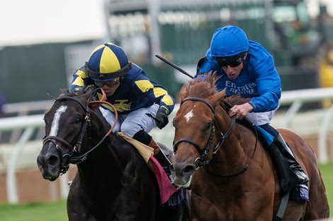 Jose Ortiz and More Than Looks win the Breeders' Cup Mile at Del Mar in Del Mar, CA on November 2, 2024.