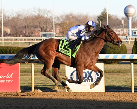 Stone Smuggler - New York Stallion Series Stakes - AQU - 121424