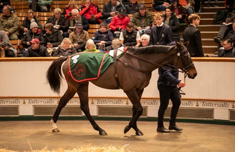 Lot 1743 Village Voice (GB) 2020 B.F.  BY Zarak (FR) EX Sensible Way (USA)     109    Simmonstown Stud, Ireland    Resolute Bloodstock    1,300,000<br>
Tattersalls<br>
December Mare Sale<br>
03/12/2024