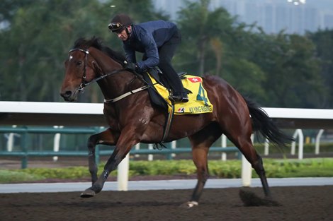 Ka Ying Rising with Zac Purton on board, Sha Tin, December 3 2024