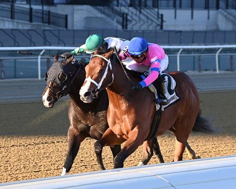 Sacrosanct - New York Stallion Series Stakes - AQU - 121424