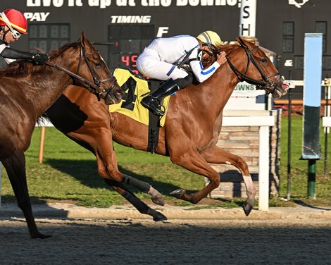 Mrs Worldwide wins the 2024 Sandpiper Stakes at Tampa Bay Downs