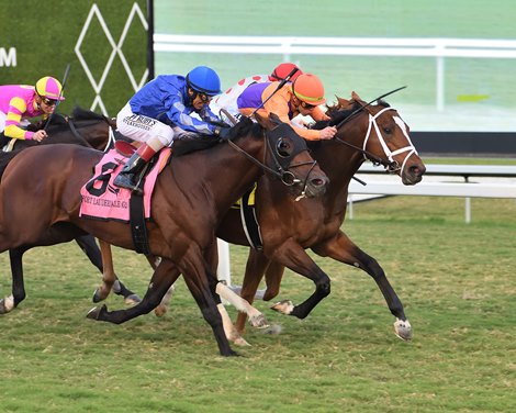 Major Dude, Ft. Lauderdale Stakes, Gulfstream, December 21, 2024