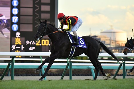 Croix du Nord wins the 2024 Hopeful Stakes at Nakayama Racecourse<br>
ridden by Yuichi Kitamura, trained by Takashi Saito, and owned by Sunday Racing