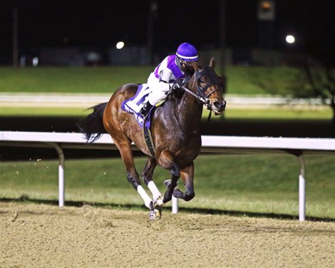 Awesome Treat wins the 2024 Holiday Inaugural Stakes at Turfway Park