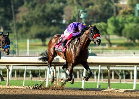 Raging Torrent and jockey Lanfranco Dettori win the Grade I $300,000 Malibu Stakes Thursday, December 26, 2024 at Santa Anita Park, Arcadia, CA.<br>
Benoit Photo